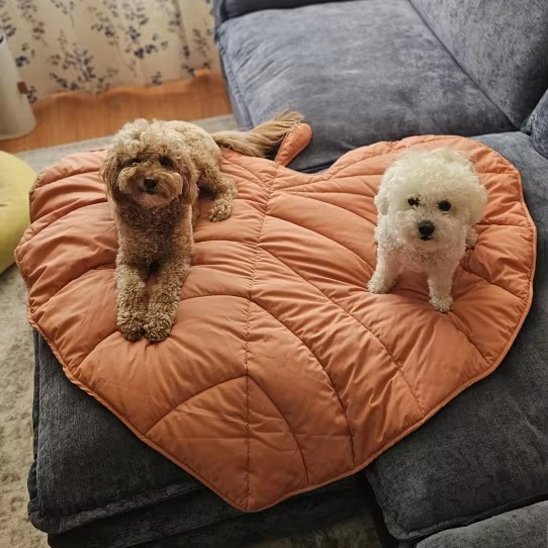 2 caniches sur Tapis pour chien rose