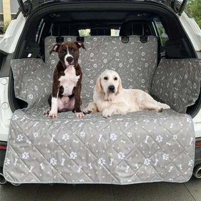 2 chiens sont sur Protection chien voiture 