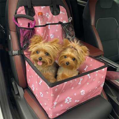 2 yorkies assis dans Siege auto chien