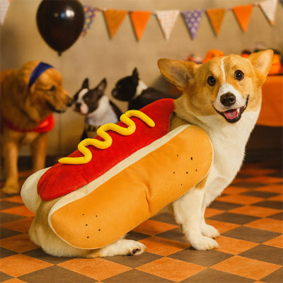 corgi portant déguisement chien halloween est dans une fête halloween
