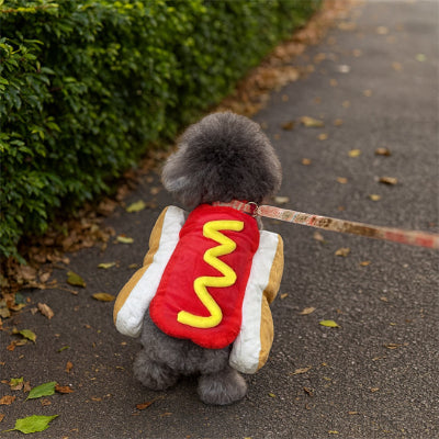 caniche gris portant déguisement chien halloween marche en laisse sur trottoir