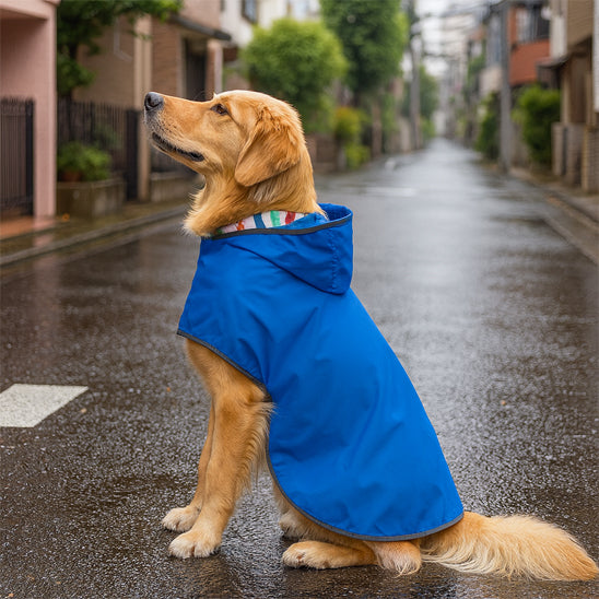 Manteau chien Rainydoggy