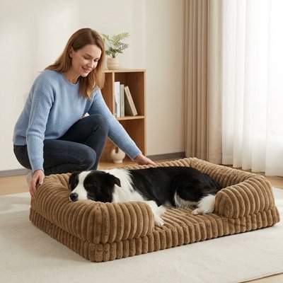 aussie dort dans Panier orthopédique Chien dame présente