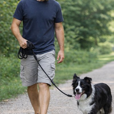 aussie en Longe Chien marche avec homme