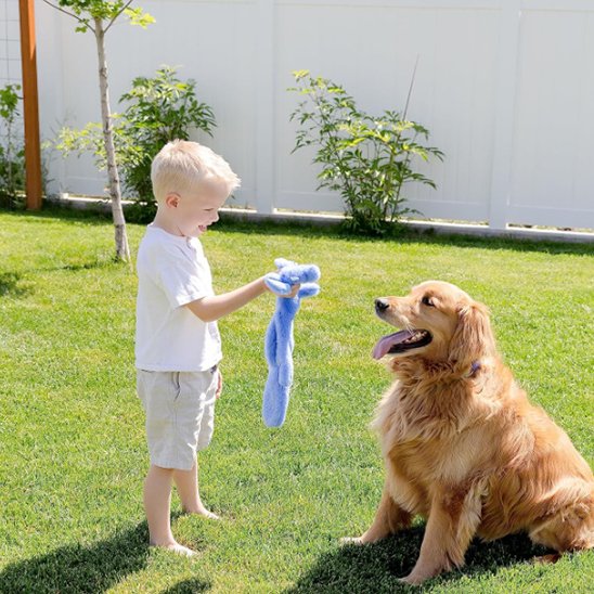 bambin tient Peluche pour chien dans sa main et joue avec chien