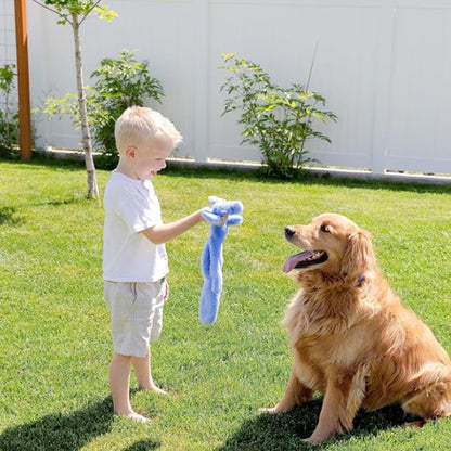 bambin tient Peluche pour chien dans sa main et joue avec chien