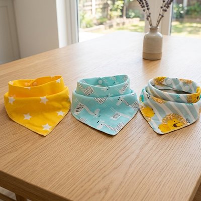 Bandana pour Chien sur table