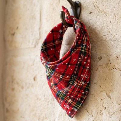 Bandana pour Chien 