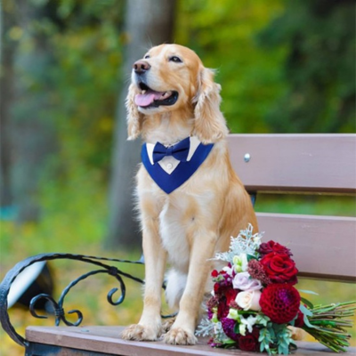Bandana pour Chiens | Smoking
