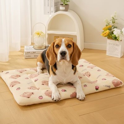  beagle couche sur Tapis pour Chien