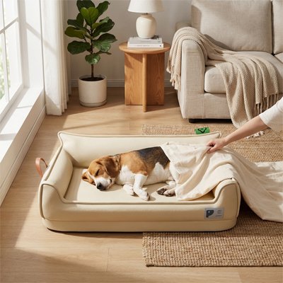  beagle dort sur Canapé pour chien 