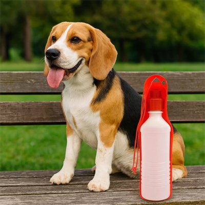Beagle est assit sur un banc a cote de Gourde pour Chien