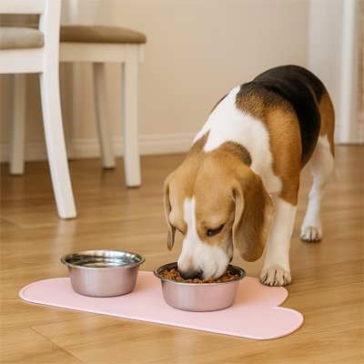 beagle mange croquettes sur Tapis gamelle Chien rose