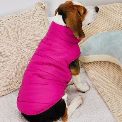 beagle portant Manteau pour chien rose est assis sur lit avec coussins