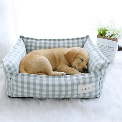 bebe labrador couche dans Lit pour Chien