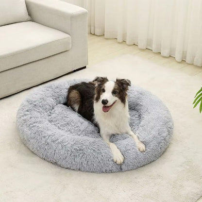 berger australien est couche dans Panier pour chien gris