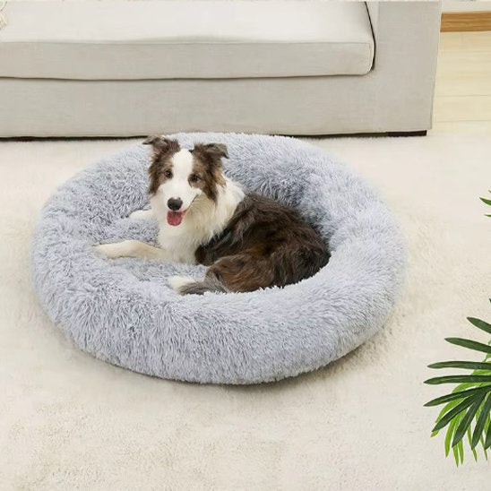 berger australien est etendu dans Panier pour chien gris