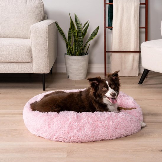 berger australien langue sortie est couche dans Panier pour chien rose