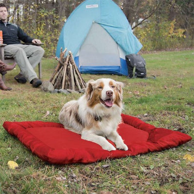 berger couche sur Lit de camp pour chien dehors