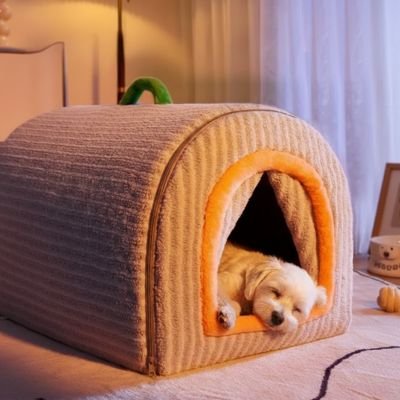 bichon blanc dans Niche pour Chien interieur 