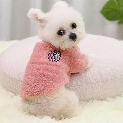 bichon maltais porte Pull pour Chien rose assis sur surface blanche