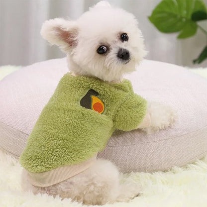 bichon maltais porte Pull pour Chien vert assis sur surface blanche