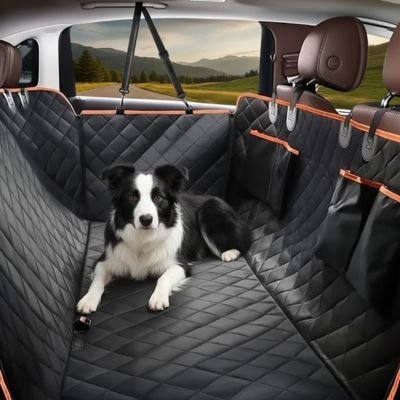 border collie couché sur banquette arrière couverte de Protection voiture chien​