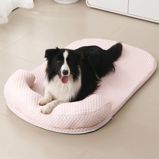border collie coucheTapis rafraichissant chien rose