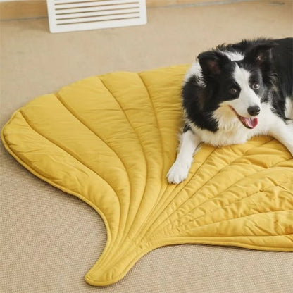border collie etendu sur Tapis pour chien jaune