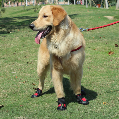 golden retriever portant bottes chien attend sur pelouse dans parc