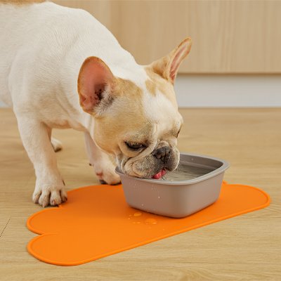 bouledogue francais mange croquettes sur Tapis gamelle Chien orange