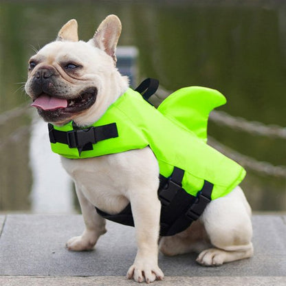 bouledogue portant Gilet de sauvetage chien vert est sur sol ciment