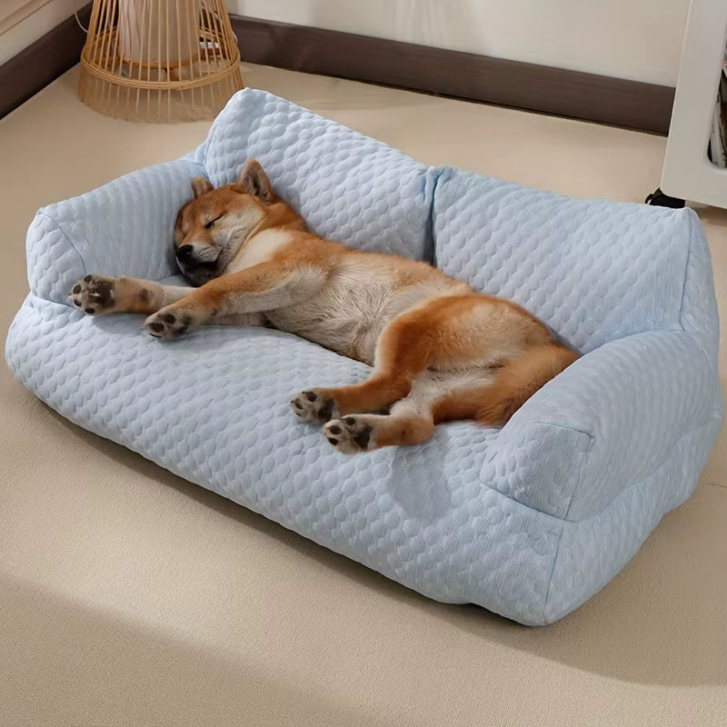 shiba inu dort sur canapé chien bleu sur moquette