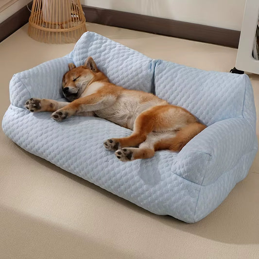 shiba inu dort sur canapé chien bleu sur moquette