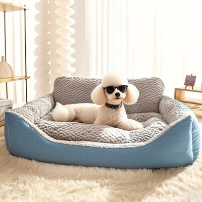 caniche avec lunettes de soleil est couché sur canapé chien près de fenêtre