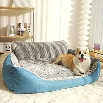 corgi est couché sur canapé chien près de fenêtre