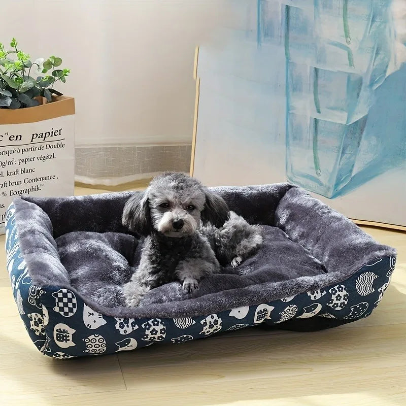 caniche gris couche dans canape lit pour chien sur le sol