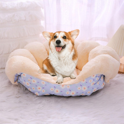corgi assis sur canapé pour chien au soleil