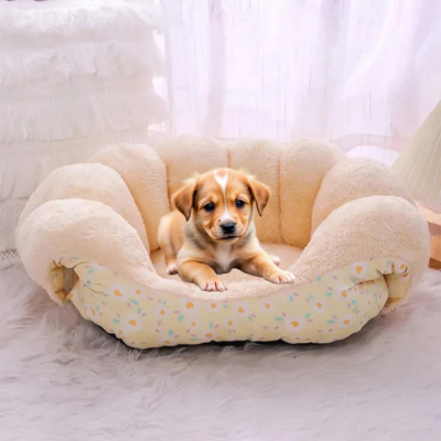 chiot couché sur canapé pour chien jaune au soleil