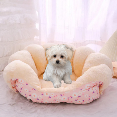 shihtzu assis sur canapé pour chien au soleil