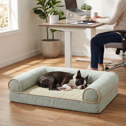 CANAPE POUR CHIEN | MemoryPup
