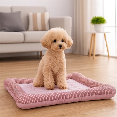 caniche beige assis Tapis rafraichissant Chien rose