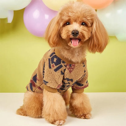 caniche beige porte Pull chien beige