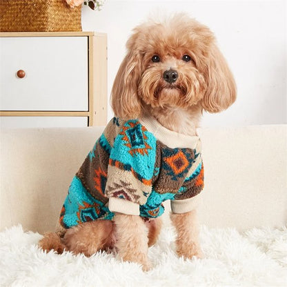 caniche beige porte Pull chien bleu sur surface blanche
