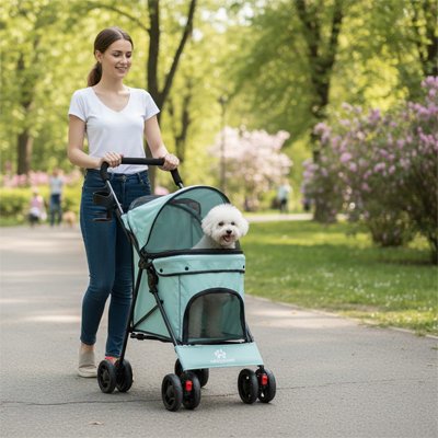 caniche blanc assis dans Poussette pour chien bleu vert poussée par jeune femme dans parc
