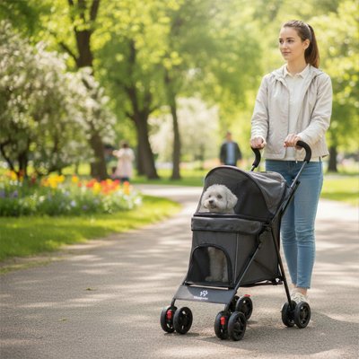 caniche blanc assis dans Poussette pour chien noire poussée par jeune femme dans parc