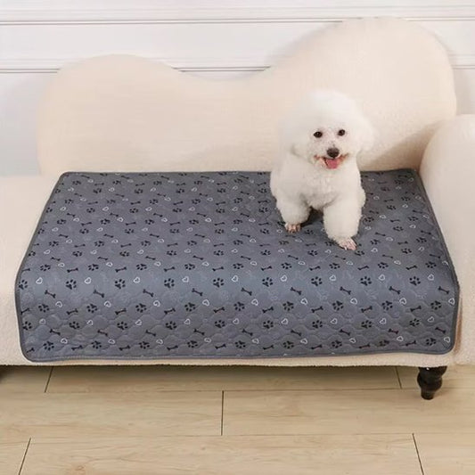 caniche blanc assis sur Tapis absorbant chien sur canape