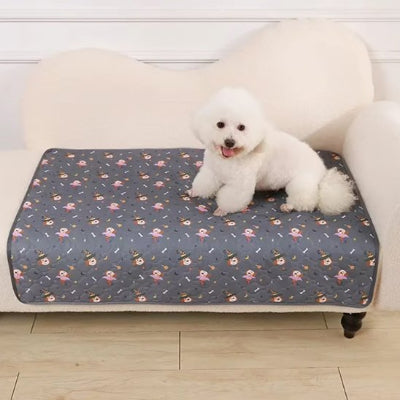 caniche blanc assis sur Tapis absorbant chien sur canape