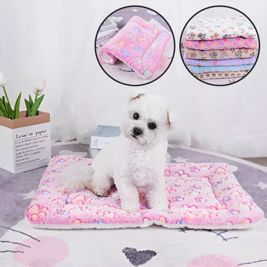 caniche blanc assis sur Tapis pour chien