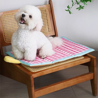 caniche blanc assis sur Tapis rafraîchissant Chien sur chaise de bois